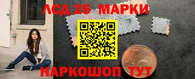 тгк Кингисепп