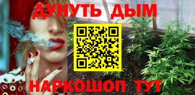шишки Кинель