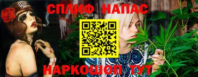 шишки Кинель