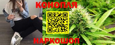 шишки Кинель