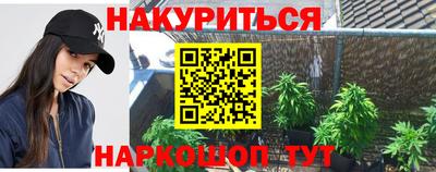 тгк Кингисепп