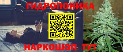 шишки Кинель