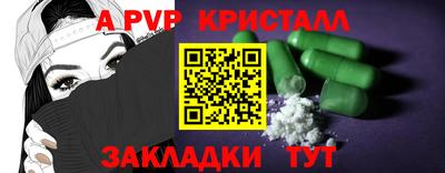 тгк Кингисепп